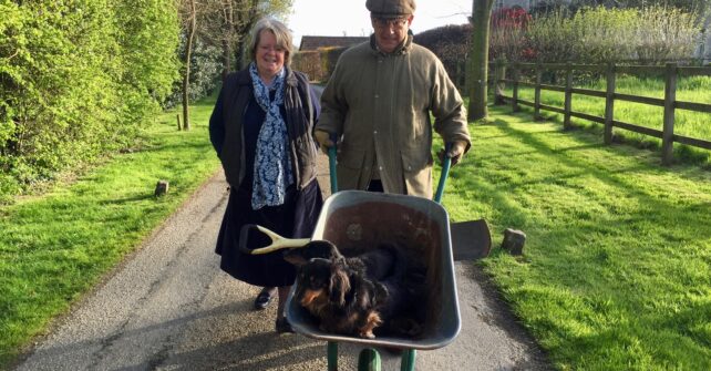 Couple walking down grassy path with 2 dogs in a wheelbarrow