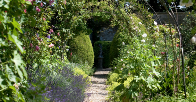 Tunnel walk of rose arches in Guyers House gardens