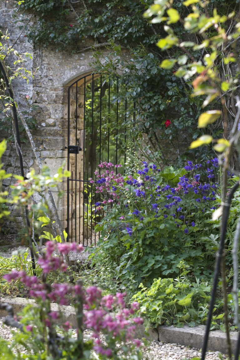 Flowers, ivy and garden gate of walled garden