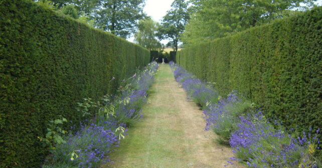 Flower-lined hedge maze with fountain in grounds of Guyers House Hotel