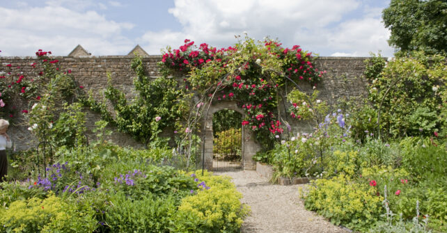 Rose arch in walled garden with assortment of flowers and climbing plants