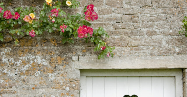 Flowers climbing along walled garden with shrubs and small white wooden gate with heart in the centre