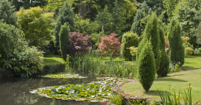 Pond and gardens at Guyers House Hotel & Restaurant