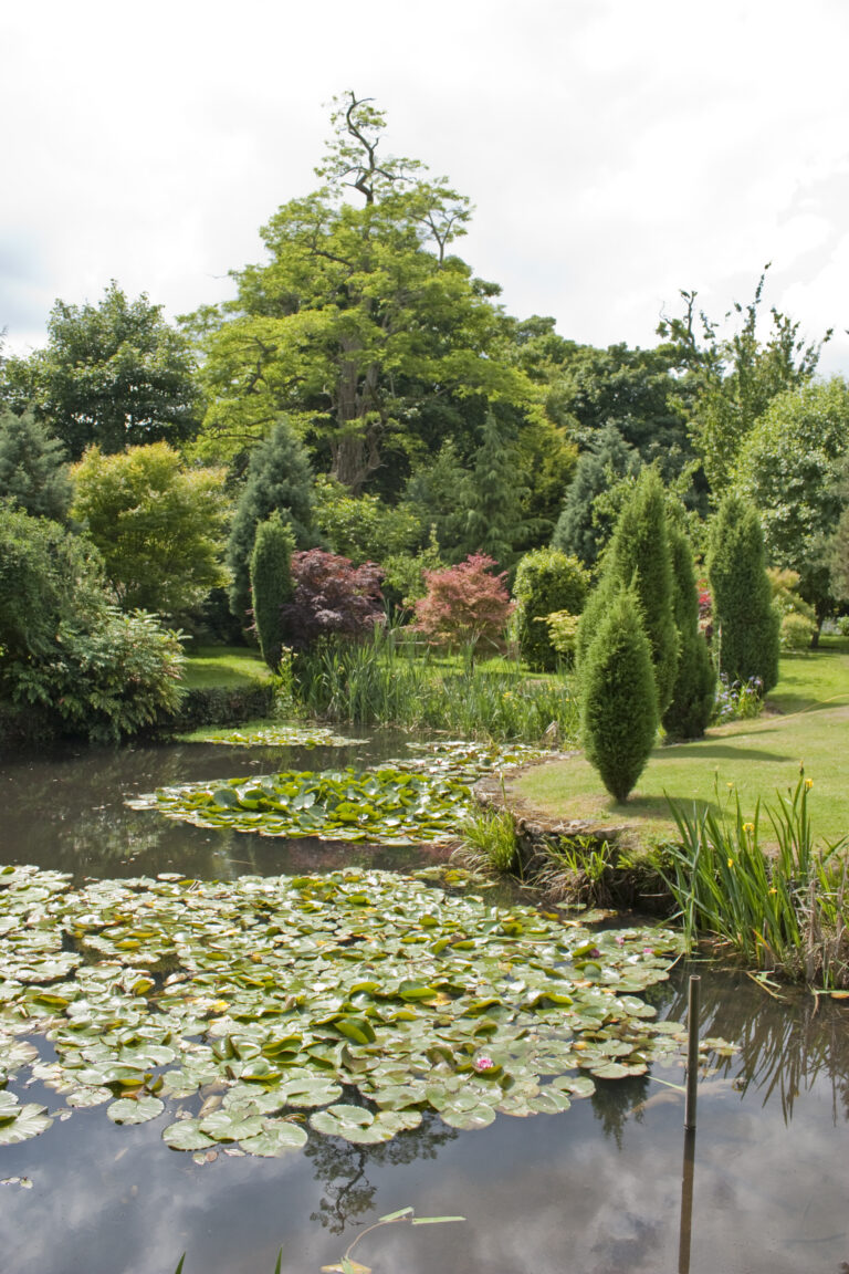 Pond and gardens at Guyers House Hotel & Restaurant