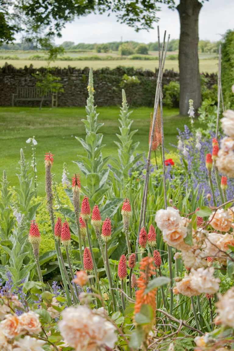 Assortment of flowers in gardens of Guyers House Hotel