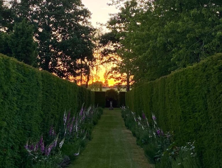 Sunset from the hedge maze in the grounds at Guyers House