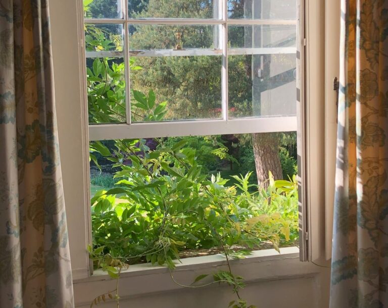 Open window looking out over lawns and trees with plant spilling over the windowsill