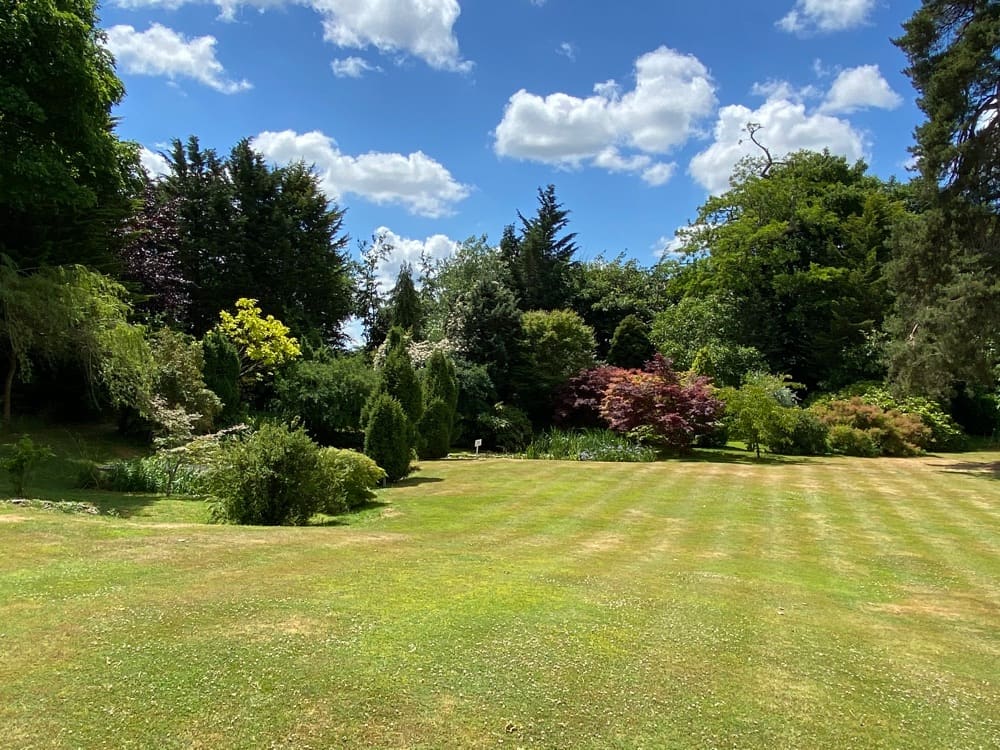 Lawns, shrubs and hedges at Guyers House Hotel