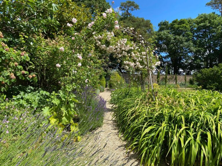 Rose arches, bushes and trees in walled gardens at Guyers House Hotel