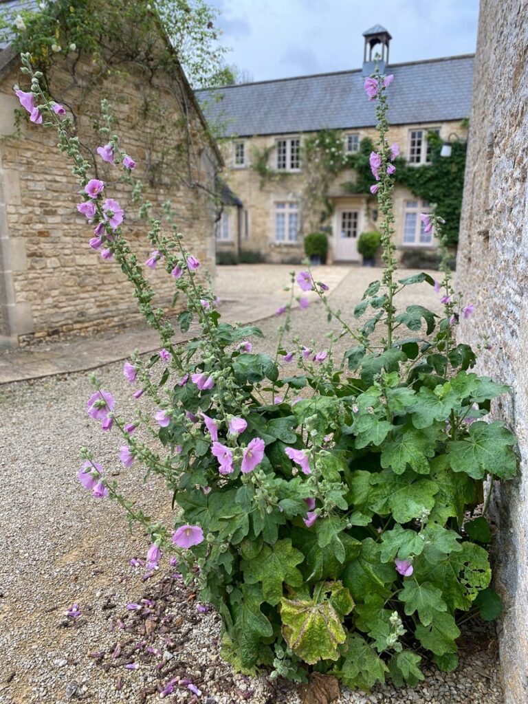 Exterior of main country house at Guyers House Hotel & Restaurant